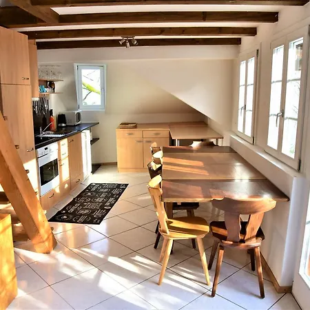 Ausfinn-apartments,penthouse, 360° Rooftop Terrace Apartment Interlaken