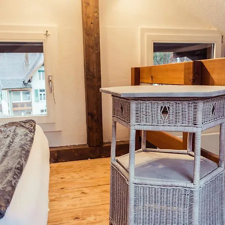 Ausfinn-apartments,penthouse, 360° Rooftop Terrace Interlaken