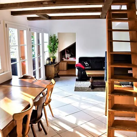 Ausfinn-apartments,penthouse, 360° Rooftop Terrace Appartement Interlaken