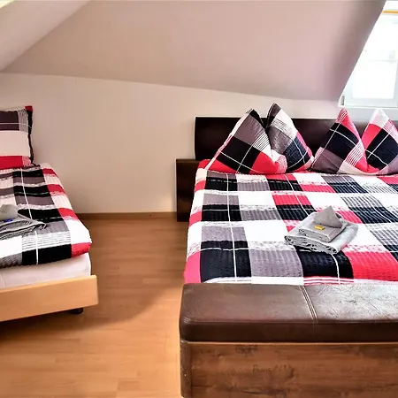 Appartement Ausfinn-apartments,penthouse, 360° Rooftop Terrace Interlaken